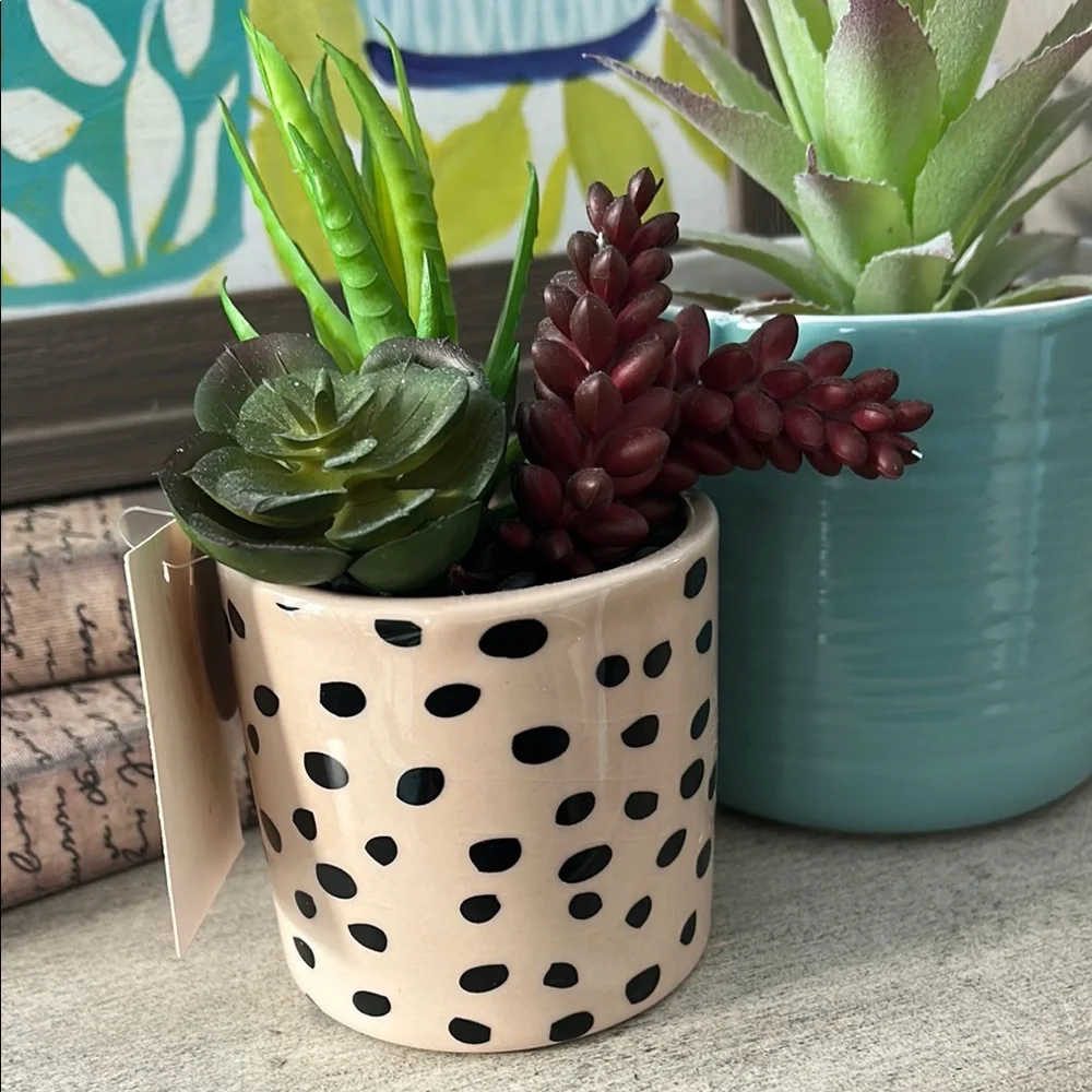 Polka Dot cheetah Planter with Succulents